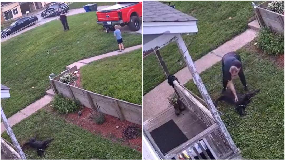 You are currently viewing Caught on Camera: Officer Kills Pet Dog in Front of Kids, Petition for Justice Gains Thousands of Signatures