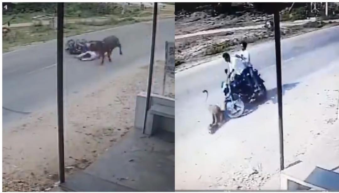 You are currently viewing Is This Rajasthan Road Haunted? Viral Videos Reveal Multiple Accidents!