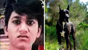 Read more about the article What Really Happened to Mumbai’s Dog Trainer? Family Demands Answers After Death