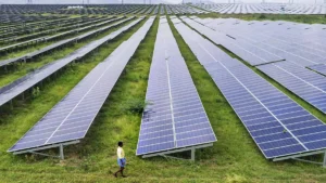 Read more about the article AMPIN Energy Secured 27MWp Solar Project in Maharashtra