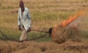 Read more about the article Haryana: 14 Farmers Arrested for Stubble Burning