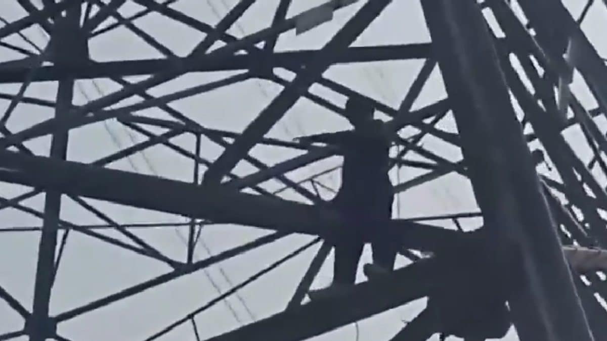 Read more about the article Man Climbed High-Voltage Electricity Pole In Delhi