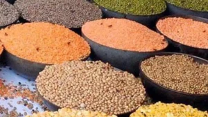 Read more about the article Pulses Import Surge to $2.18 Billion in Just Six Months