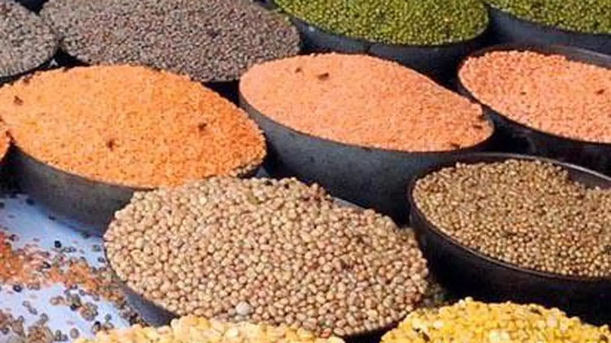 Read more about the article Pulses Import Surge to $2.18 Billion in Just Six Months