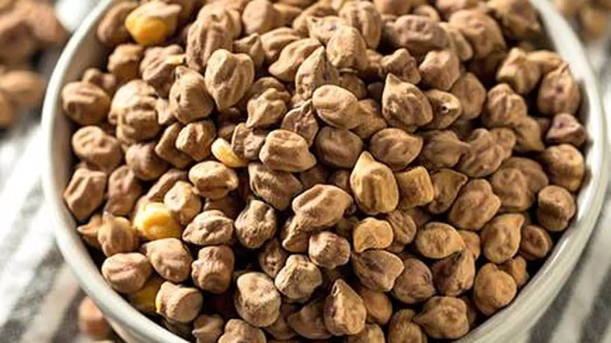 Read more about the article Chana Prices Fall Sharply as Australian Crop Arrives in India